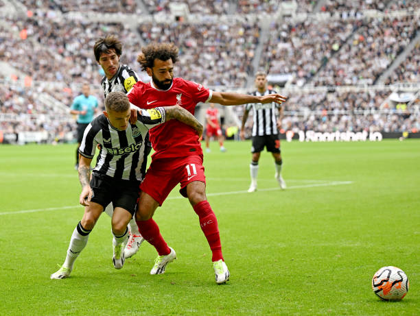 许多球迷至 许多球迷至